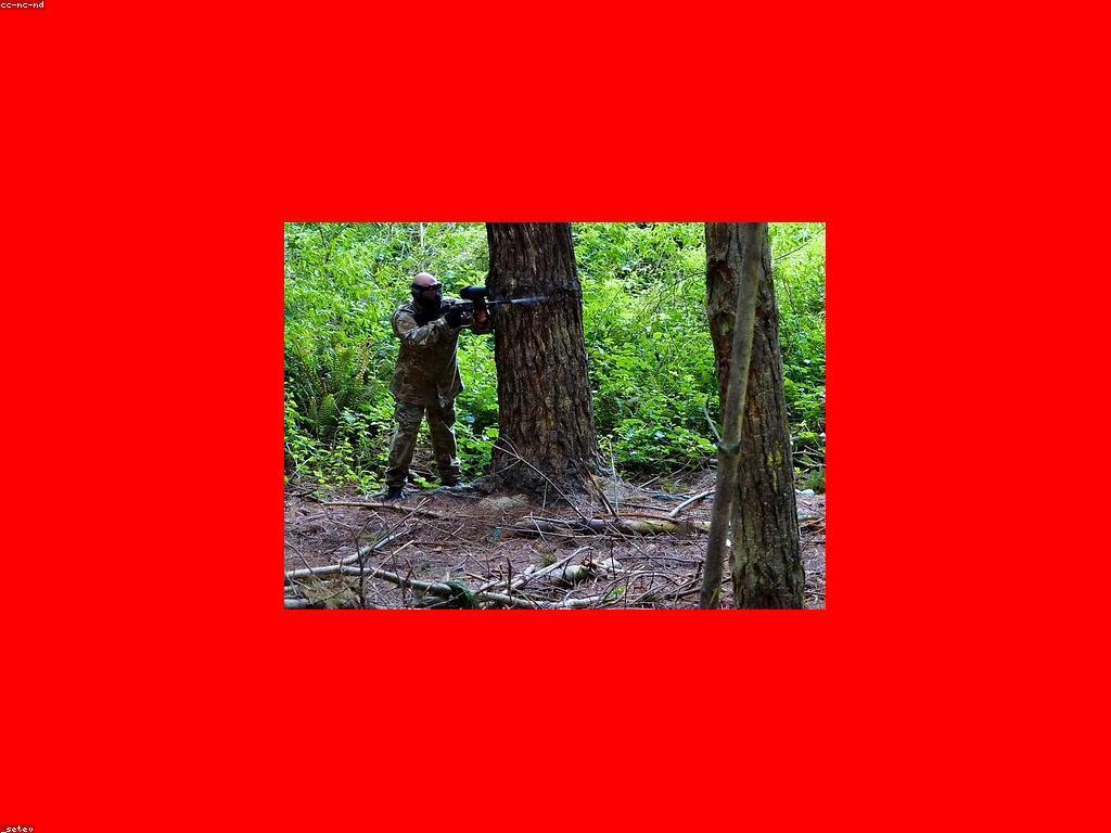 សារៈសំខាន់នៃពេលវេលានៃការប្រកួត