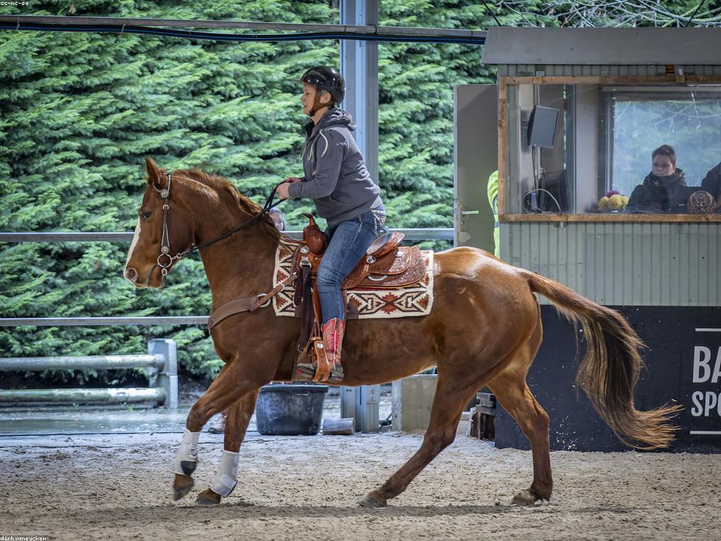 ប្រភេទនៃការប្រកួតនានានិងវិធីសាស្រ្តការប្រកួត