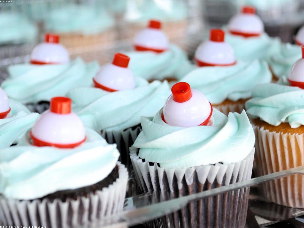 តួនាទីនៃការប្រកួតនានាក្នុងការអប់រំនិងការអភិវឌ្ឍន៍