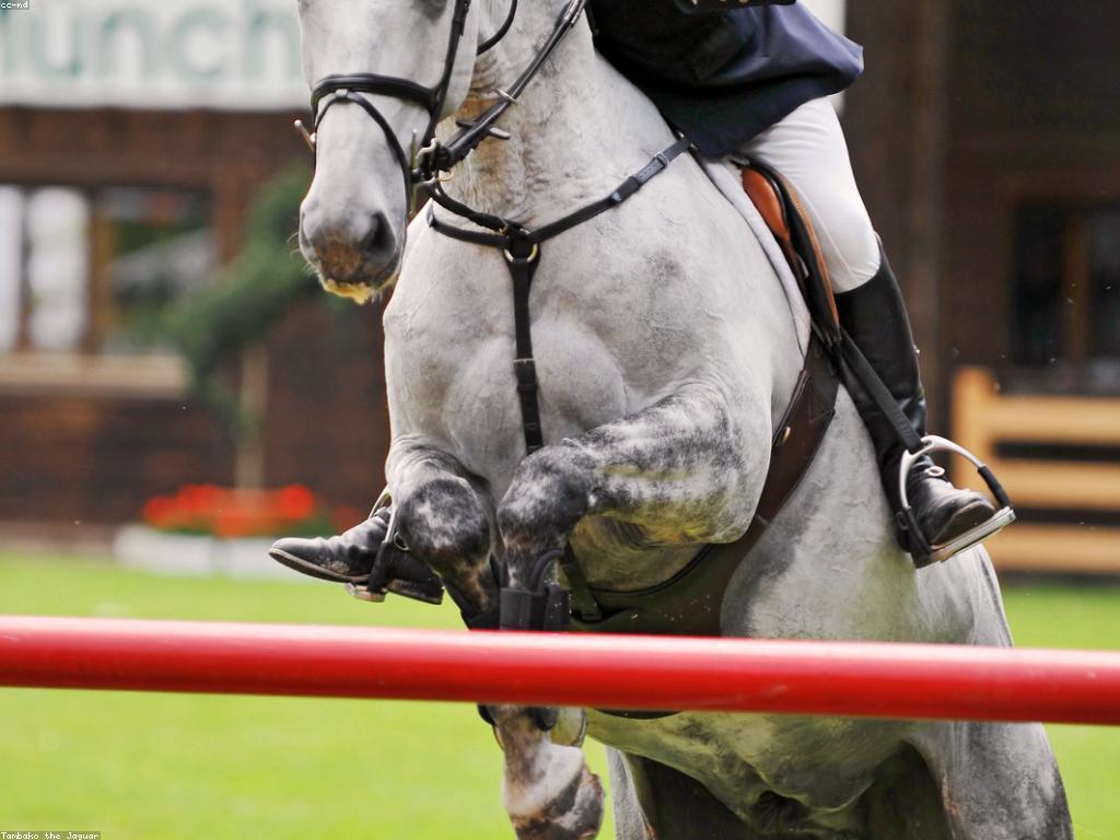 យុទ្ធសាស្ត្រសម្រាប់ពេលវេលានៃការប្រកួត