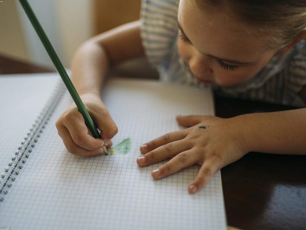 គន្លឹះនិងក្បួនសម្រាប់ការរស់នៅនឹងការផ្តោតអារម្មណ៍