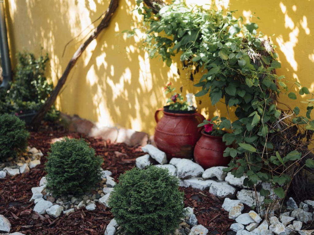 វិធីសាស្រ្តស្លតដាក់ ដើម្បីបន្ថែមភាពស្រស់ស្អាតក្នុងគេហដ្ឋាន